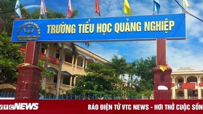 Nữ giáo viên tiếng Anh giật tóc, tát học sinh lớp 4 ở Hải Dương