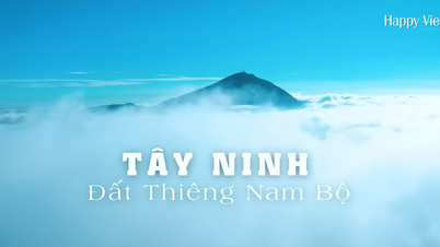 តៃនិញ - ដីពិសិដ្ឋនៃភាគខាងត្បូង