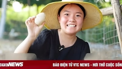 Nữ thạc sĩ tốt nghiệp nước ngoài, về quê nuôi ngỗng thu hơn 69 tỷ/năm
