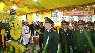 ជា​អកុសល គ្រាប់​នោះ​ត្រូវ​បាន​បាញ់​ដោយ​ចៃដន្យ ខណៈ​យក​កាំភ្លើង​មក​ផ្ទះ​វិញ ហើយ​ចៅសង្កាត់​រង​បាន​ស្លាប់។