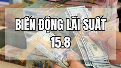 ធនាគារកែតម្រូវក្នុងទិសដៅផ្ទុយ
