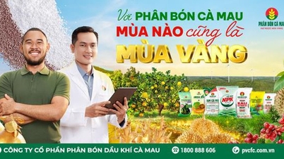 Mùa nào cũng là mùa vàng