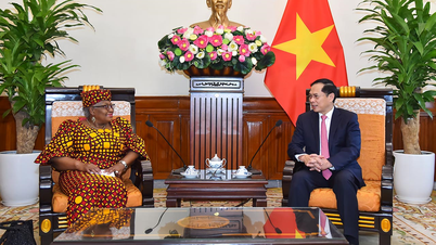 WTO mong muốn Việt Nam chia sẻ kinh nghiệm về hội nhập và phát triển