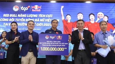 Đội tuyển nữ Việt Nam nhận quà khủng trước ngày dự World Cup 2023