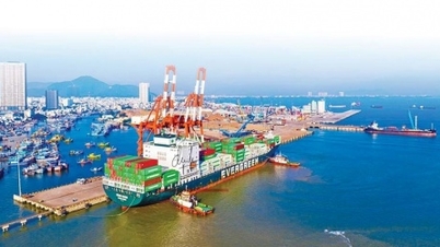doanh nghiệp “non trẻ” đăng ký dự án bến cảng Phù Mỹ