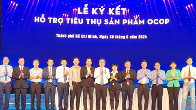 Công bố và trao quyết định công nhận sản phẩm OCOP trên địa bàn TPHCM năm 2023