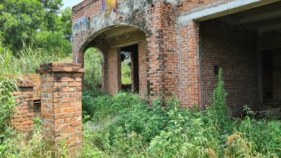 Lộ lý do chủ biệt thự triệu đô thà bỏ hoang chứ không hoàn thiện cho thuê