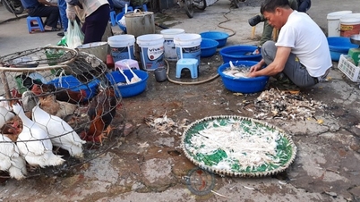 Bộ NN&PTNT đề nghị Hà Nội dừng hoạt động các cơ sở giết mổ không phép