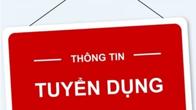 Dự án "Chương trình Lãnh đạo Mekong và các hoạt động nâng cao năng lực" tuyển dụng cán bộ dự án kiêm kế toán