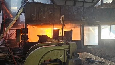 Xưởng gỗ rộng hàng nghìn m² ở Bình Định bất ngờ bốc cháy