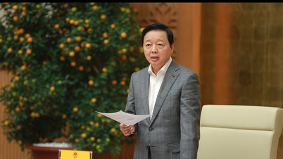 Quản lý thống nhất, xử lý nghiêm minh, chủ động phòng ngừa vi phạm IUU