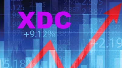 Tăng phi mã 4.700%, lộ diện cổ phiếu mới đắt nhất sàn chứng khoán