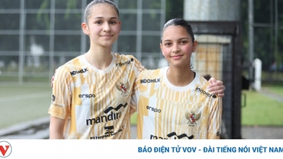 Indonesien ist entschlossen, die "Landkarte" des südostasiatischen Fußballs zu ändern