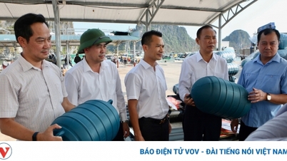 Donating buoys and seaweed seeds to help fishermen resume production soon