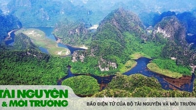 Việt Nam nỗ lực tham gia các cam kết quốc tế về bảo tồn
