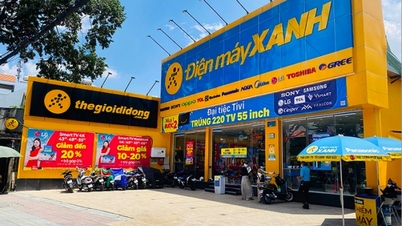 Mobile World (MWG) មិនបានប្រកាសប្រាក់ចំណេញ 7 ខែជាប់ៗគ្នាទេ គ្រាន់តែរួចផុតពីការខាតបង់នៅក្នុង Q2