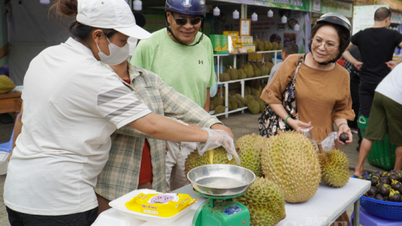 Khanh Hoa: Bringing products from ethnic minorities and mountainous areas closer to consumers