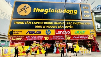 Mobile World (MWG) ប្រាក់ចំណេញរយៈពេល 9 ខែបានថយចុះ 97.8% បំណុលបន្ថែមចំនួន 6,300 ពាន់លាន