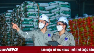 PVFCCo 21 ឆ្នាំនៃការរីកចម្រើនឥតឈប់ឈរដោយបន្ថែមកម្លាំងជំរុញថ្មីសម្រាប់ការអភិវឌ្ឍន៍ប្រកបដោយនិរន្តរភាព