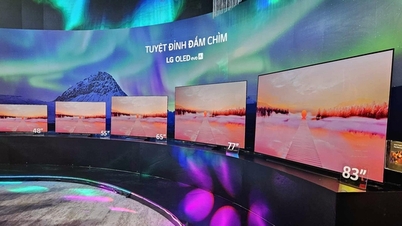 ទូរទស្សន៍ OLED អាចមានតម្លៃថោកជាង
