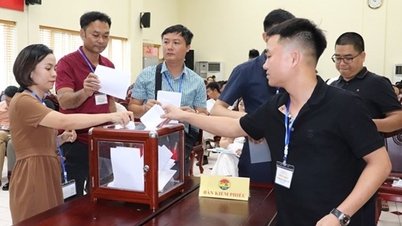 Bất ngờ với năng lực công ty trúng mỏ cát Châu Sơn cao gấp 137 lần giá khởi điểm