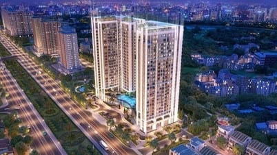 Lý do nhà đầu tư lựa chọn Essensia Sky