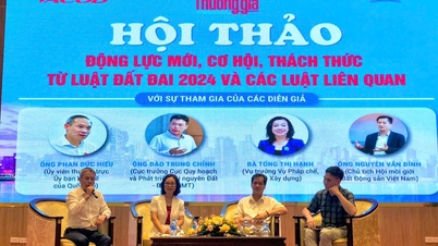 วิสาหกิจต่างๆ กำลังรอผลการทดลองนำร่องอีกครั้งในเรื่องภาคพื้นดิน