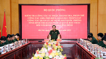 Senior Lieutenant General Vo Minh Luong inspects judicial, inspection and legal work at the Engineering Corps.