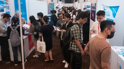 Many opportunities to study abroad for free in countries where Vietnamese people are rare