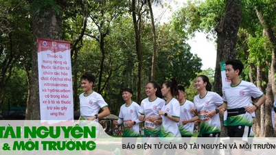 Chính sách quản lý còn chưa thống nhất
