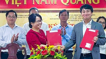 ឡុង អាន សហការ​ជាមួយ​ក្រុមហ៊ុន​ជប៉ុន​បង្កើត​ឥណទាន​កាបូន​លើ​ផ្ទៃដី​ស្រូវ​១០​ម៉ឺន​ហិកតា
