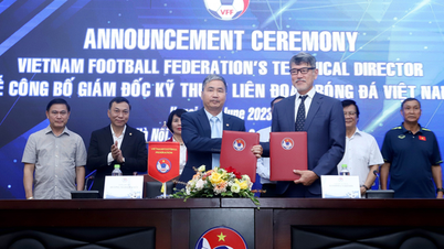 VFF không lãng phí chất xám của tân Giám đốc kỹ thuật