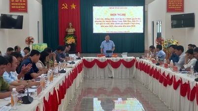 ការអភិវឌ្ឍន៍ព្រៃឈើតាមគោលដៅរៀបចំរចនាសម្ព័ន្ធឡើងវិញនៃវិស័យព្រៃឈើក្នុងខេត្ត Gia Lai | កាសែត Gia Lai អេឡិចត្រូនិក