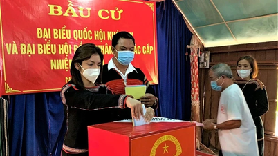 បទប្បញ្ញត្តិស្តីពីបេក្ខភាព និងការតែងតាំងស្របតាមសេចក្តីសម្រេចថ្មីស្តីពីបទបញ្ជាបោះឆ្នោតក្នុងបក្ស