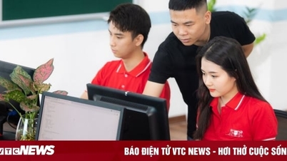 4 vị trí việc làm mức lương cao dành cho sinh viên ngành Công nghệ thông tin