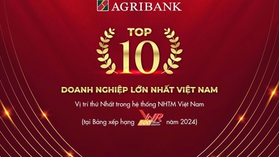 Agribank - TOP10 សហគ្រាសធំបំផុតនៅវៀតណាមក្នុងឆ្នាំ 2024