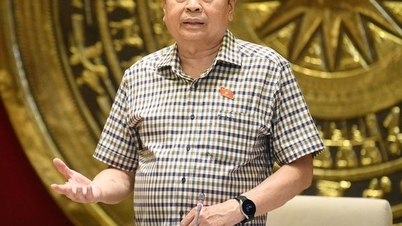 ពិនិត្យ​មើល​វឌ្ឍនភាព​នៃ​ការ​រៀបចំ​សម្រាប់​សន្និសីទ​សមាជិកសភា​វ័យក្មេង​សកល​លើក​ទី៩