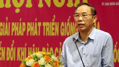 ការនាំចេញសម្រេចបានជាង 1.5 ពាន់លានដុល្លារអាមេរិក ប៉ុន្តែឧស្សាហកម្មត្រីត្រានៅតែមានដែនកំណត់ចំនួន 4 ដែលត្រូវយកឈ្នះ