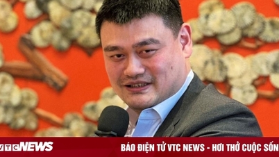 Huyền thoại Yao Ming từ chức Chủ tịch Hiệp hội Bóng rổ Trung Quốc