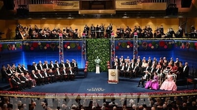 Nobel Week 2023: First Impressions