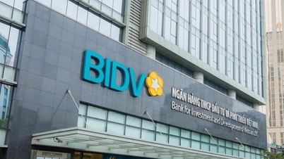 BIDV phát hành hơn 2.500 tỷ đồng trái phiếu trong tháng 8/2024