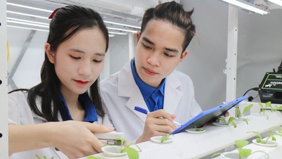 ចំណាត់ថ្នាក់សាកលវិទ្យាល័យបច្ចេកវិទ្យាខ្ពស់បំផុត 27.8