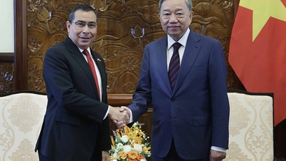 Vietnam wishes to cooperate in many aspects with Colombia and Panama