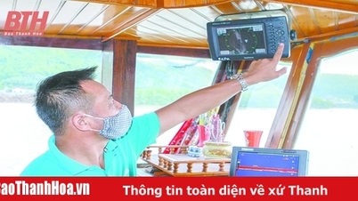 Ngư dân ứng dụng chuyển đổi số trong khai thác hải sản