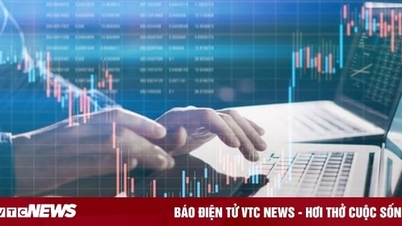 Mua 'chui' cổ phiếu, ca sĩ Khánh Phương bị phạt 245 triệu đồng
