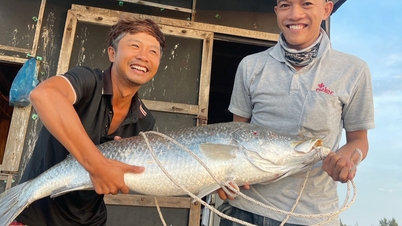 Angler caught 15 kg bass