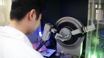 Nhân tài bán dẫn được săn đón toàn cầu