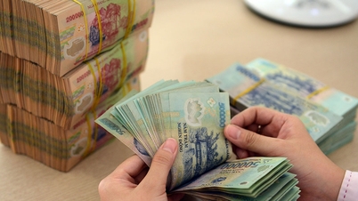 Khung giá phát điện 2023; cải cách chính sách tiền lương