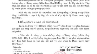 Proposing the Department of Health of Ho Chi Minh City and Tien Giang to inspect the production and trading of cosmetics