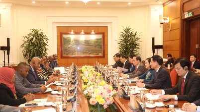 Thúc đẩy quan hệ song phương Việt Nam - Tanzania
